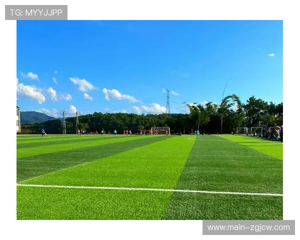 英超引入智能草坪系统，减少雨战积水影响